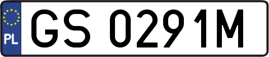GS0291M
