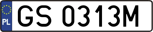 GS0313M