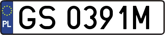 GS0391M