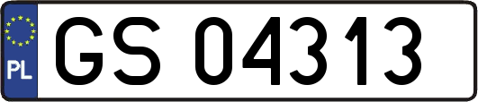 GS04313
