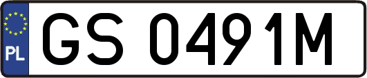 GS0491M