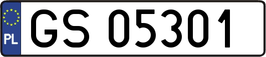 GS05301