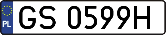 GS0599H