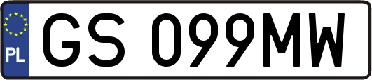 GS099MW