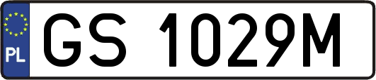 GS1029M