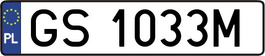 GS1033M