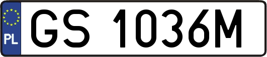 GS1036M