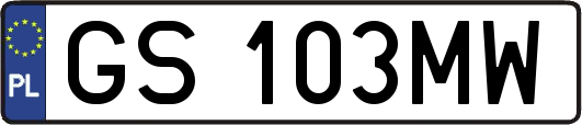 GS103MW