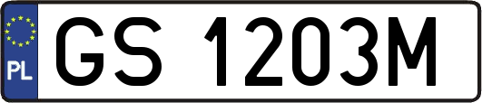 GS1203M