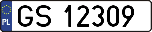 GS12309