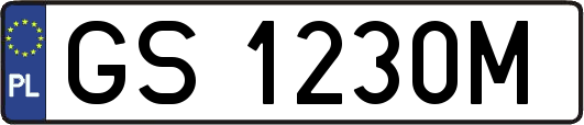 GS1230M