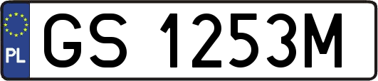 GS1253M