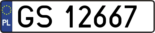GS12667