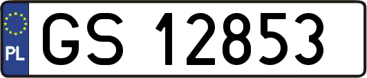 GS12853