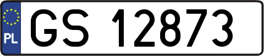 GS12873
