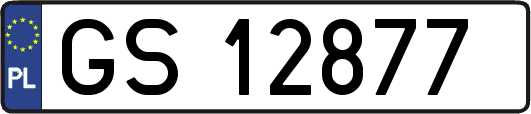 GS12877