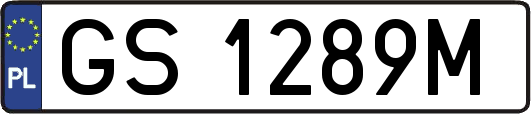 GS1289M