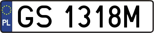 GS1318M