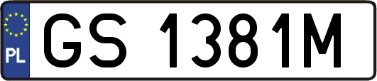 GS1381M