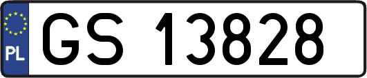 GS13828
