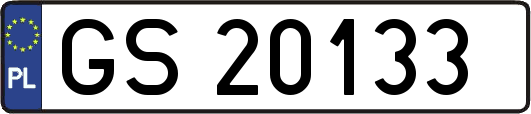 GS20133