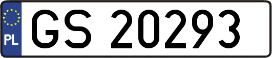 GS20293