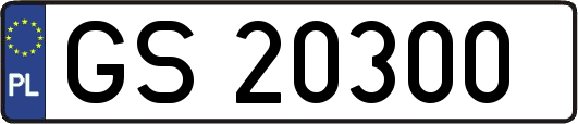GS20300