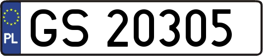 GS20305