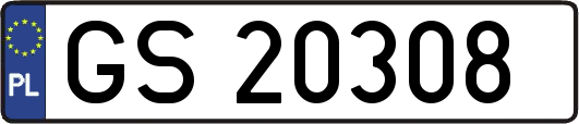 GS20308