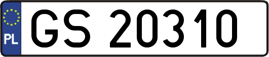 GS20310
