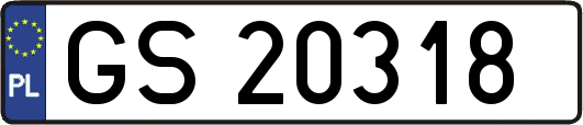 GS20318