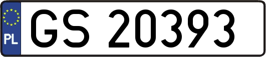 GS20393