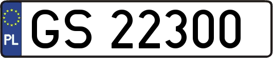 GS22300