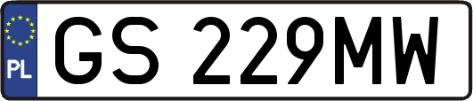 GS229MW