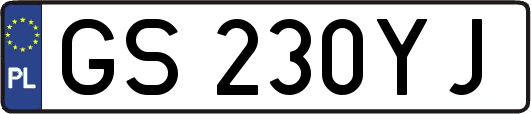 GS230YJ