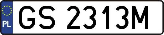 GS2313M