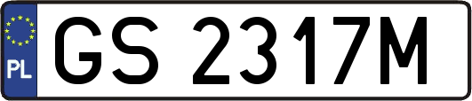 GS2317M