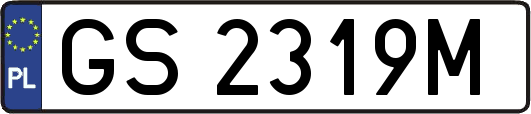 GS2319M
