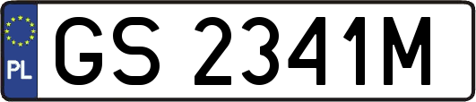 GS2341M