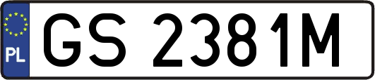 GS2381M
