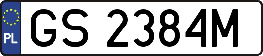 GS2384M