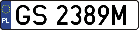 GS2389M