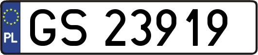 GS23919