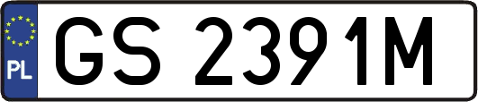 GS2391M