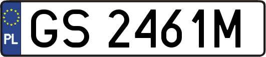 GS2461M