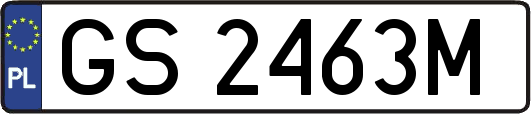 GS2463M