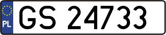 GS24733