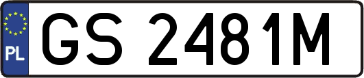 GS2481M