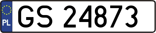 GS24873