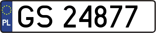 GS24877